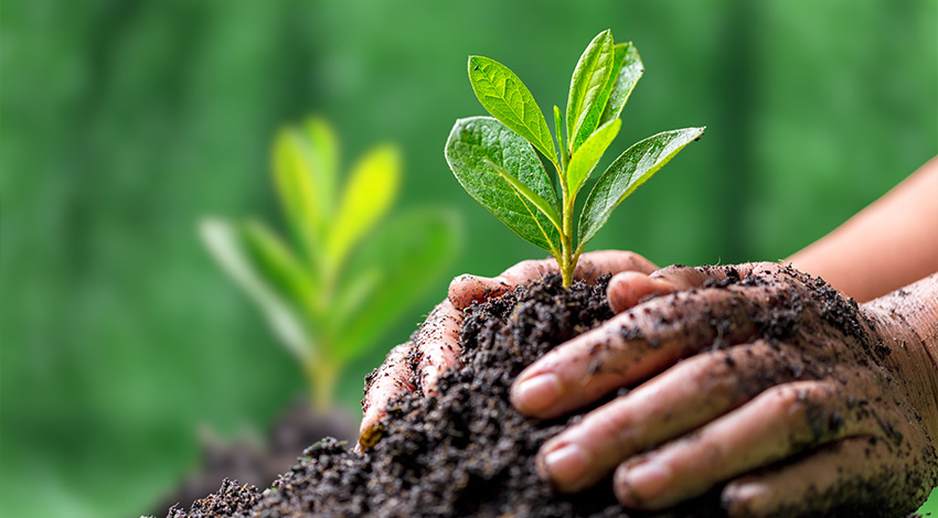 Environmental Management Policy